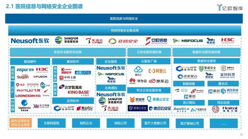 2023中国智慧医院研究报告 医院信息与网络安全篇——网络与信息安全软件开发