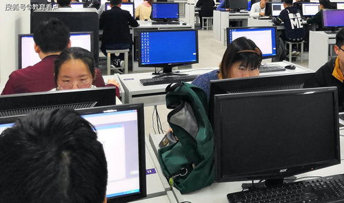 2021高考志愿填报 网络与信息安全与软件开发——最靠谱的专业选择